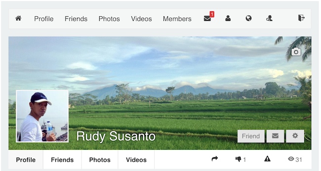 Profile view after styling tweaks.