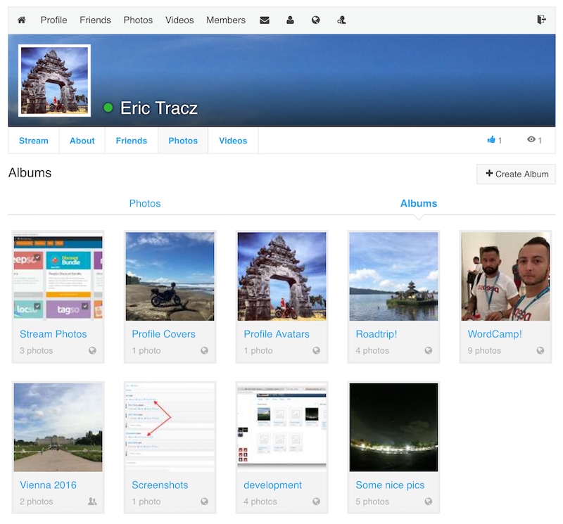 Photo Albums in Profile view.