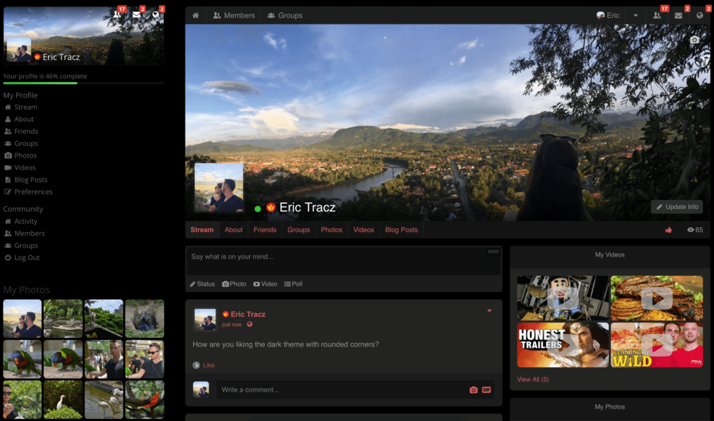 Dark Theme, Rounded corners Profile view.