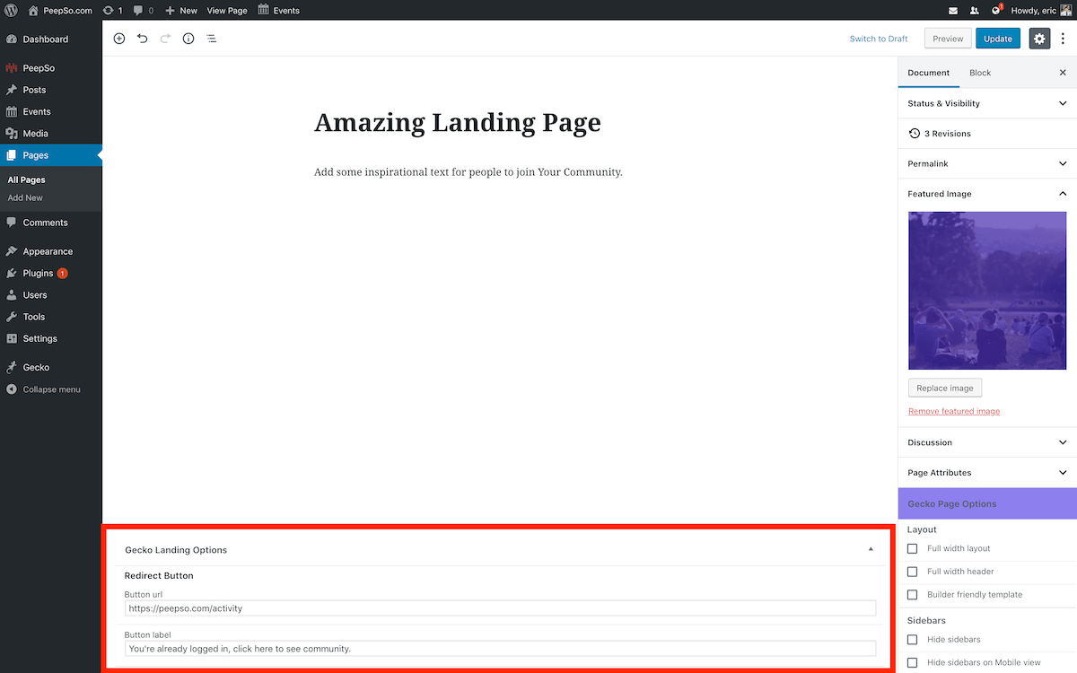 Landing Page Redirect Settings