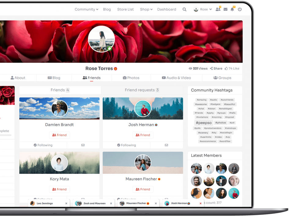 User profile with friends list