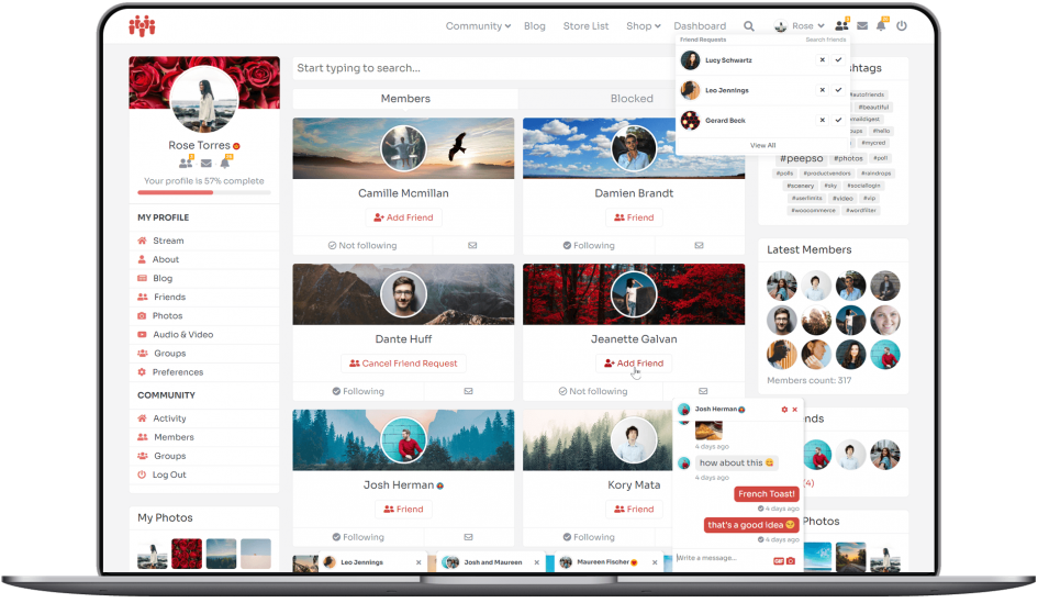 Friend requests and members listing with friends action buttons visible
